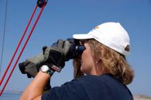 Birgit unsere Skipperin auf der Suche nach Wind